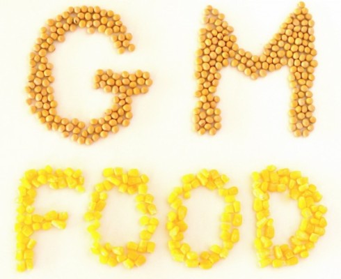 5 GM food